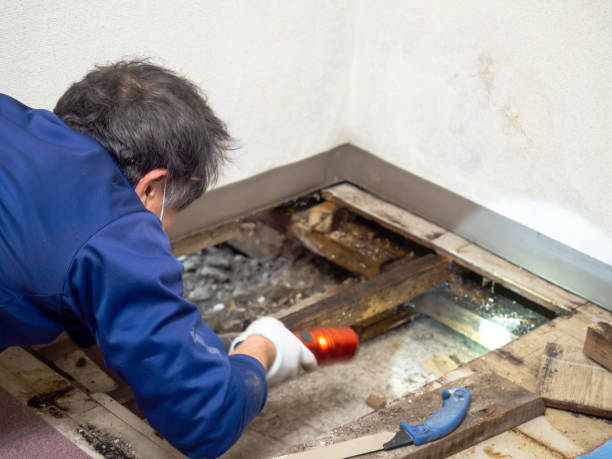 Best Crawl Space Mold Removal  in Sunnyslope, WA