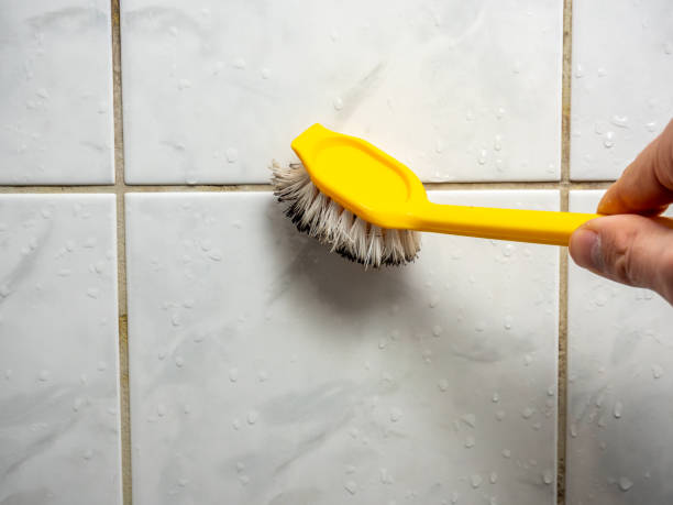Best Commercial Mold Removal  in Sunnyslope, WA