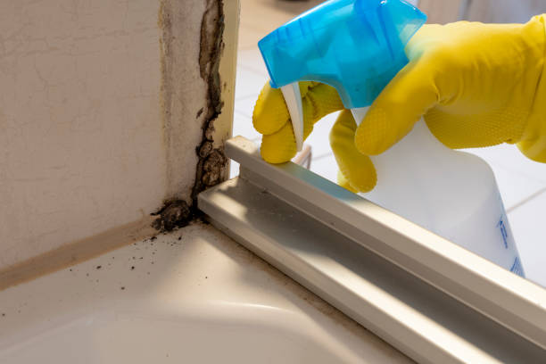 Best Emergency Mold Removal  in Sunnyslope, WA
