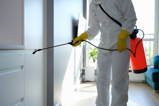 Crawl Space Mold Removal in Sunnyslope, WA
